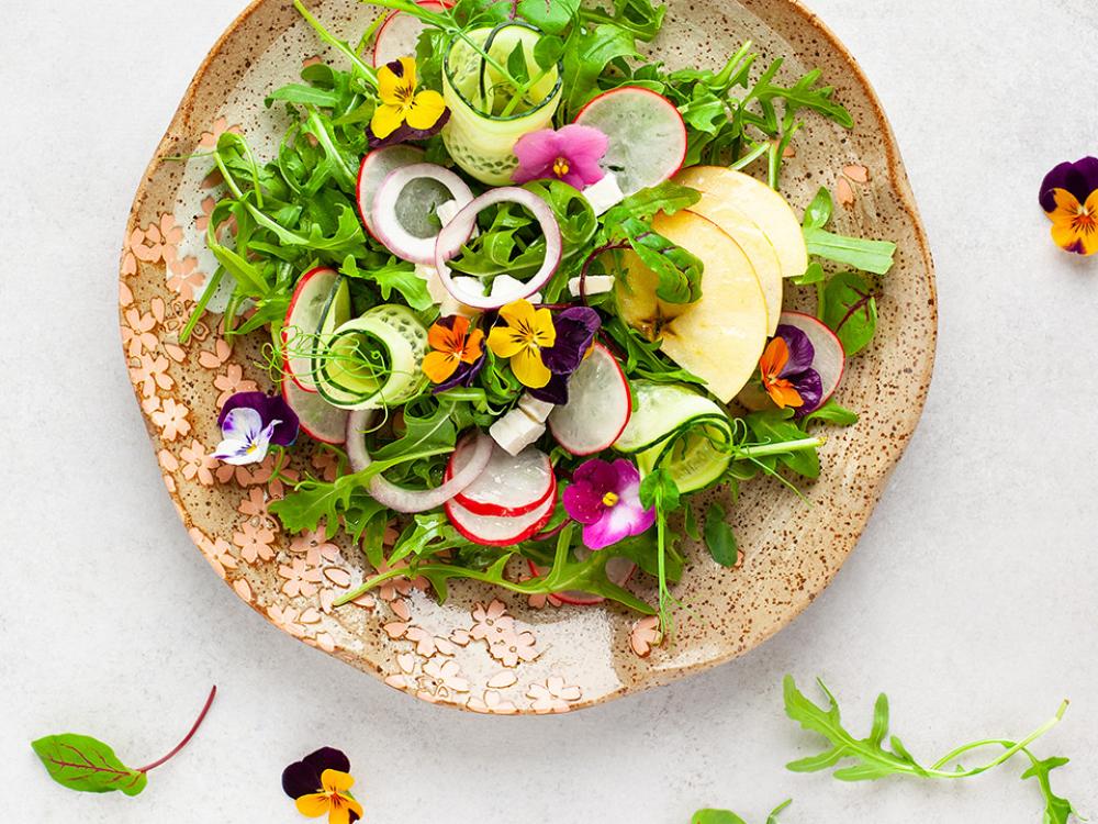 DANIA NA LATO visual data 3