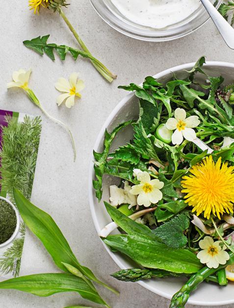 Wiosenna sałatka Zero Waste